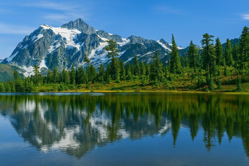 Best Shower Installation pros in Maple Valley, WA